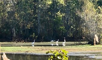 337 Weathers Farm Rd, Bowman, SC 29018