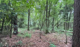 32531 Chapel Pine Drive Lot Cdt5, Albany, LA 70711
