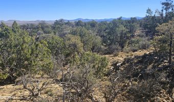 4 County Rd, Concho, AZ 85924