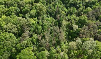 5171 Coxs Ferry Rd, Bolton, MS 39041