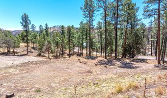 215 Brentwood Dr 2, Alto, NM 88312