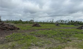 9 219 Ac Rhine Alma GA Rd, Alma, GA 31510