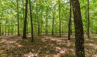 503 County Road 101, Alton, MO 65606