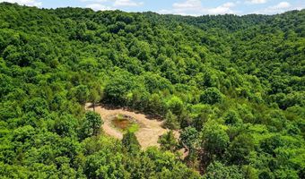 2926 Bryant Ridge Rd, Baxter, TN 38544