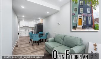 1005 N MOUNT St, Baltimore, MD 21217