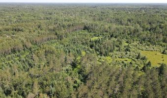 2254 E M30, Alger, MI 48610