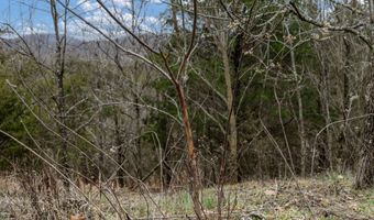 Smithtown Road, Afton, TN 37616