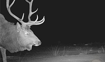 NHN Broken Trail N lot Bvr 944-19, Belfry, MT 59008