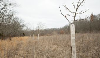 000 County Road U-105A, Ava, MO 65608