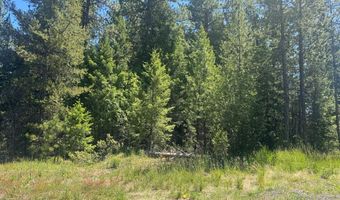 Saddle Rock Drive lot 19, Cascade, ID 83611