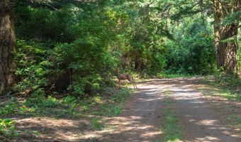 88677 WHITING Ln, Bandon, OR 97411