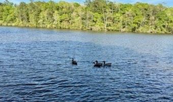 12454 FOP LODGE Rd, Andalusia, AL 36421