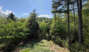 83 Tabor Cir, Albany, NH 03818