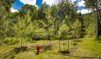 640 S Hayden Rd, Aspen, CO 81611