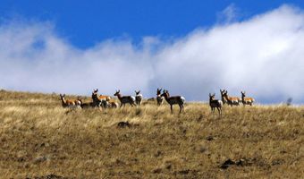 902 Lower Valley Rd, Boulder, MT 59632