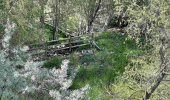 830 Snively Gulch Rd, Adrian, OR 97901