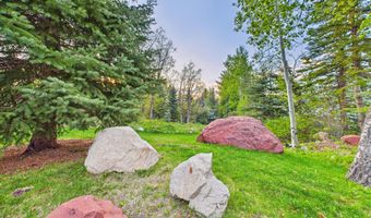 593 Meadowood Dr, Aspen, CO 81611