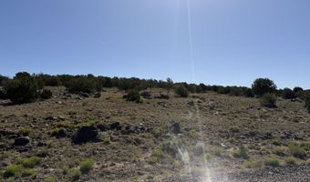 Lot 49 Windsor valley Ranch Drive, Concho, AZ 85924