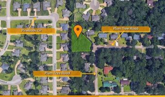 136 Plum Tree Rd, Brandon, MS 39047