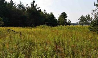 9537 LAKEVIEW, Alanson, MI 49706