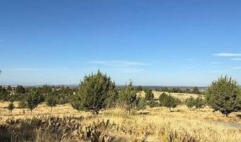 Old Coyote Ct, Alturas, CA 96101