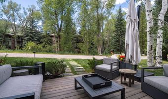 314 N Riverside Ave 2, Aspen, CO 81611