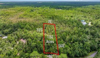 163 Sand Bar Rd Lot 20, Apalachicola, FL 32320