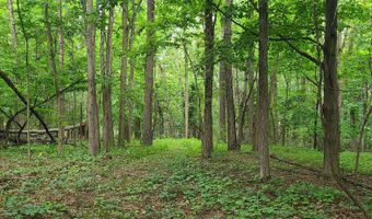 65 Acres 107th Ave, Allegan, MI 49010