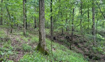Sardis Lake Drive, Batesville, MS 38655