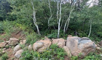 3600 Bear Paw Ln, Glenwood Springs, CO 81601