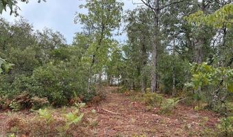 4539 NW Miller/White LN Rd, Altha, FL 32421