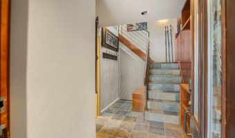 650 S Monarch St 9, Aspen, CO 81611