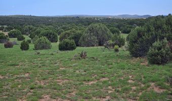 Birdwing Lane, Clay Springs, AZ 85923