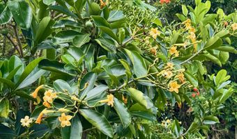 2133 KINOOLE St, Hilo, HI 96720