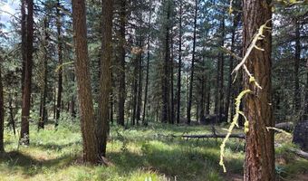 L16 B1 Lantern Way lot 16, Cascade, ID 83611