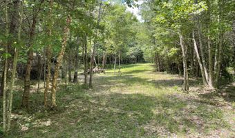 Tract 1 Welcome Valley Road, Benton, TN 37307