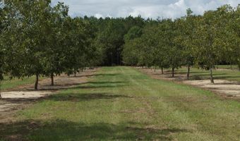9953 Gravel Hl, Baconton, GA 31716