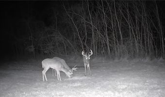 Chickadee Court, Agency, MO 64401