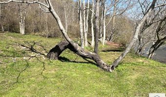 1679 Poplar Knob Rd, Austinville, VA 24312
