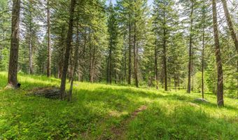 510 Swan Hill Rd, Bigfork, MT 59911