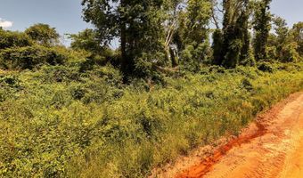 Lot # 2 - 6.2 Ac Perry Horton, Adrian, GA 31002