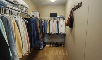 786 Blackberry Rd, Baconton, GA 31716