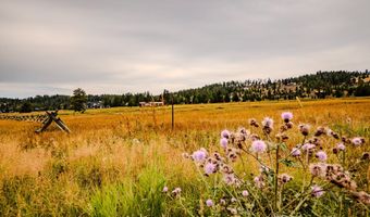 10 Green Meadow Ln, Anaconda, MT 59711
