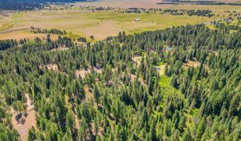 151 Timber Haven Pl, Cascade, ID 83611