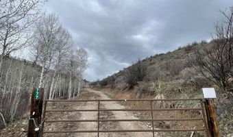 777 RICHARDSON CREEK Rd, Afton, WY 83110