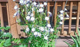 83 BUCK Ln, Alpine, WY 83128