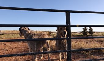 240 Sendero Horse Thief, Alpine, TX 79830