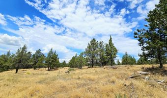 Canvasback Drive 28, Bonanza, OR 97623