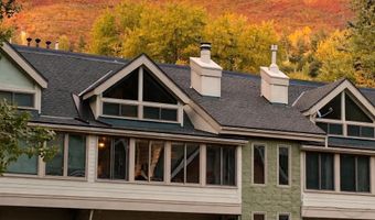 409 Park Cir 2, Aspen, CO 81611