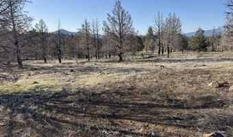 31763 Godowa Springs Rd, Beatty, OR 97621